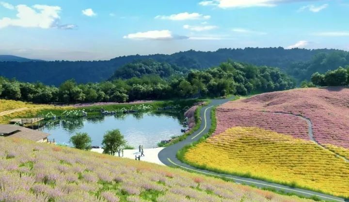 龙头山花湖田源景区