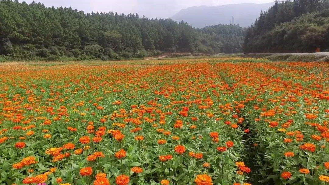 泷泊国际慢城花千谷