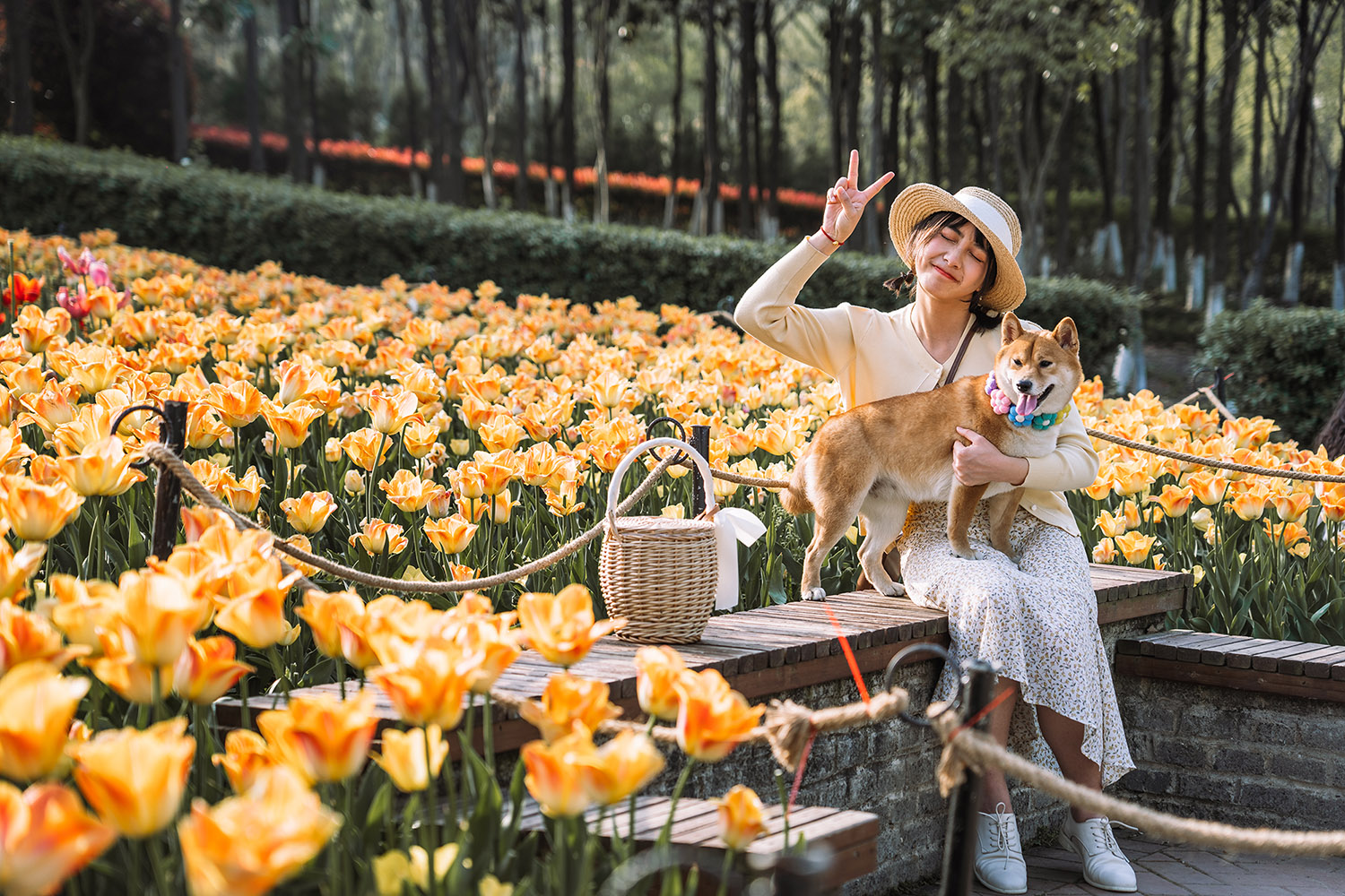 花谷奇缘旅游景区