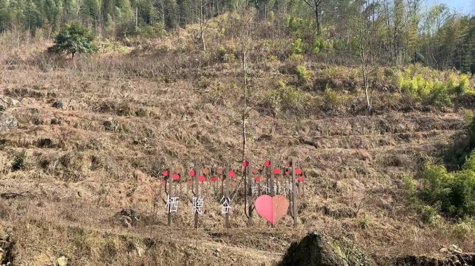 宜春栖隐山庄樱花谷