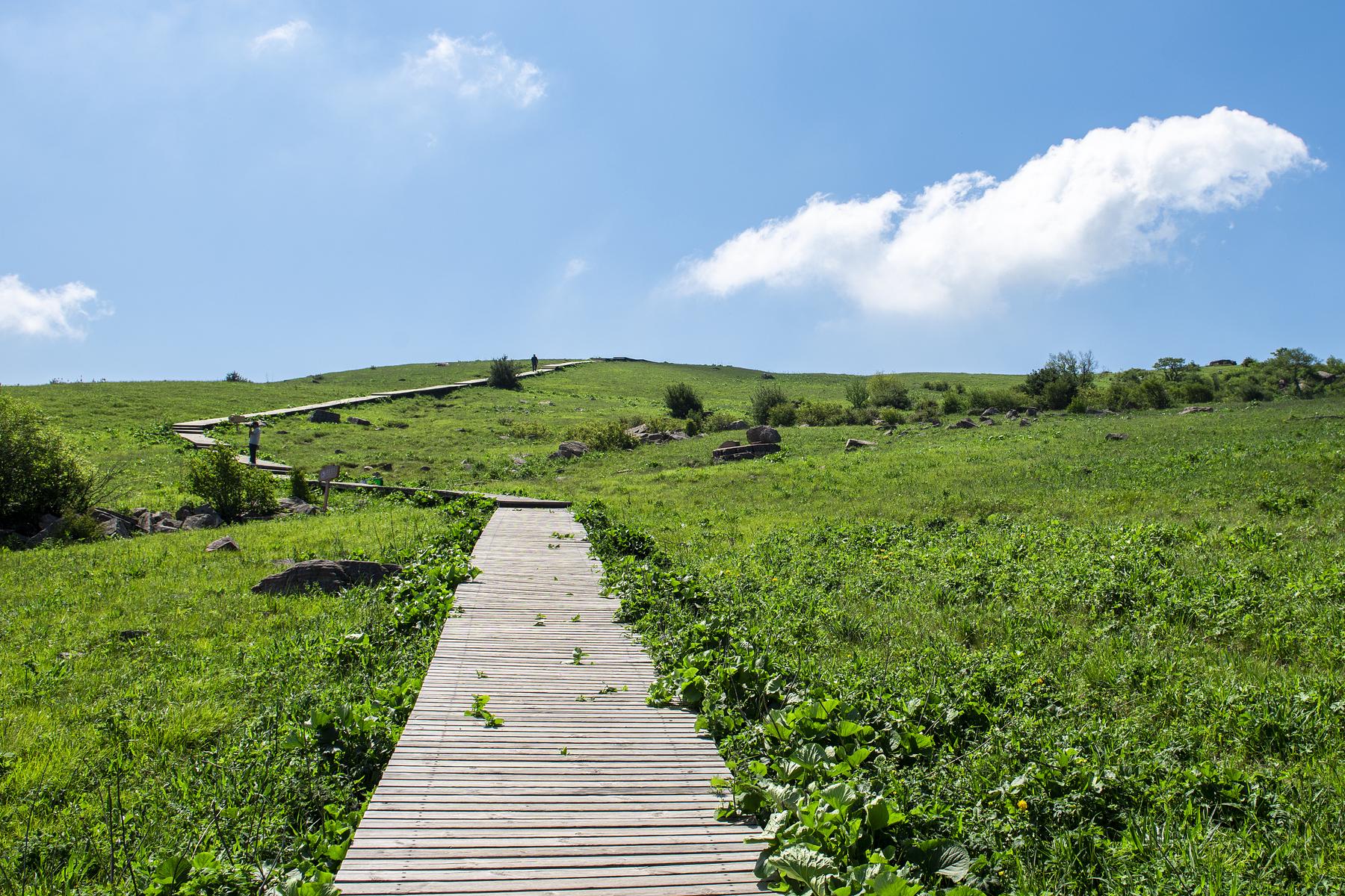 历山舜王坪经区