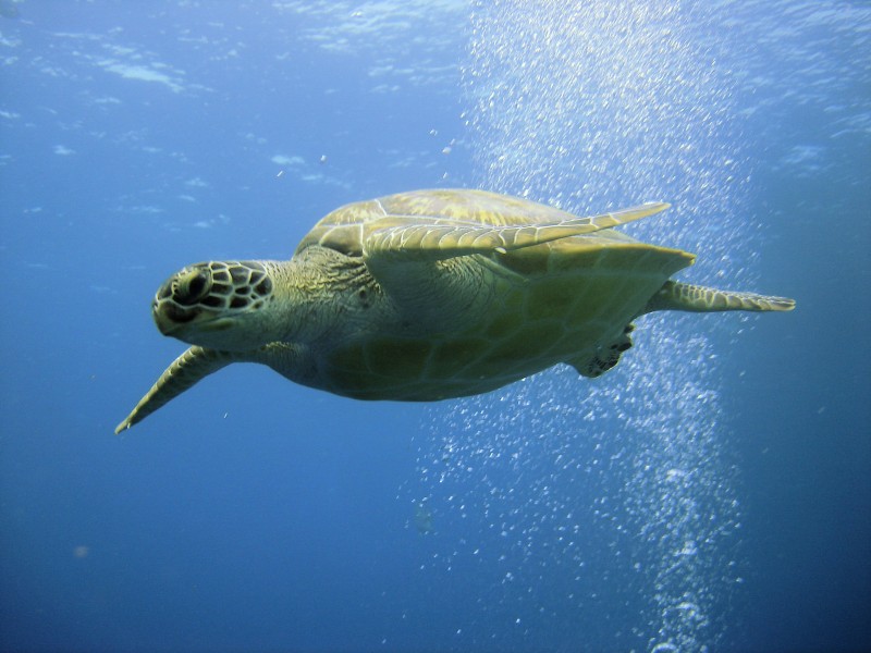 石浦超感梦幻海洋馆