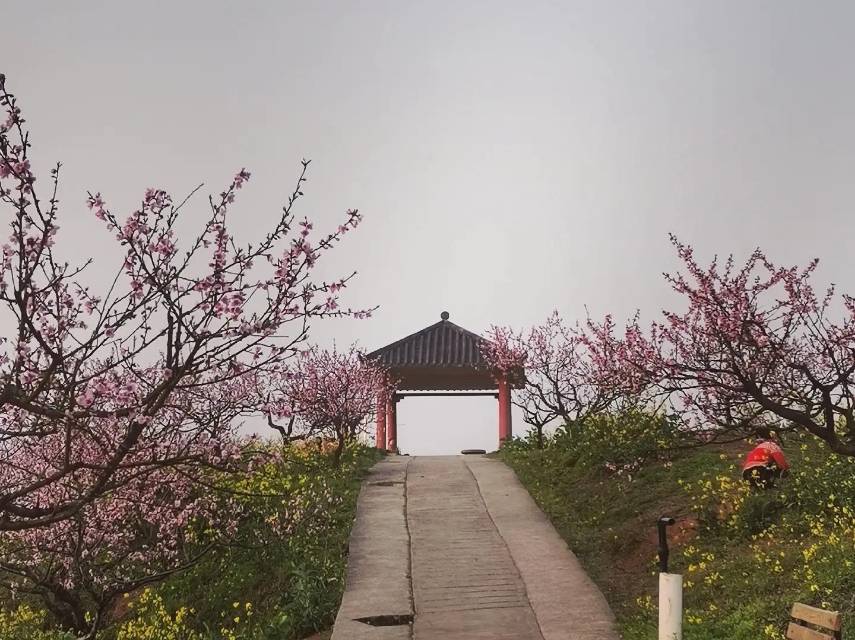 圣水湖桃花岛