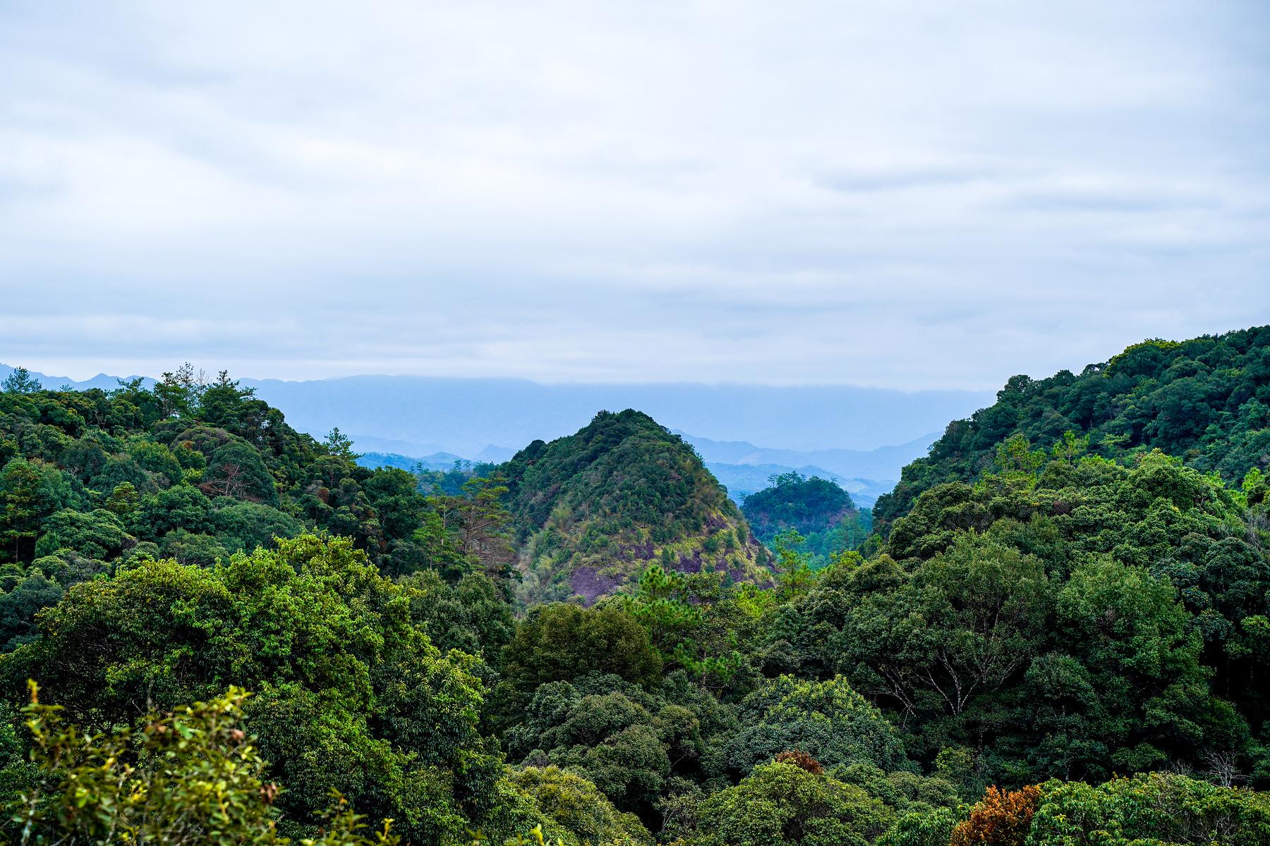 状元言景区