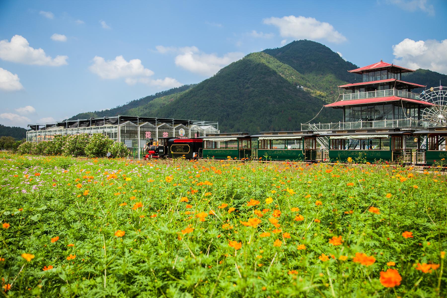 缙云显笕川花海