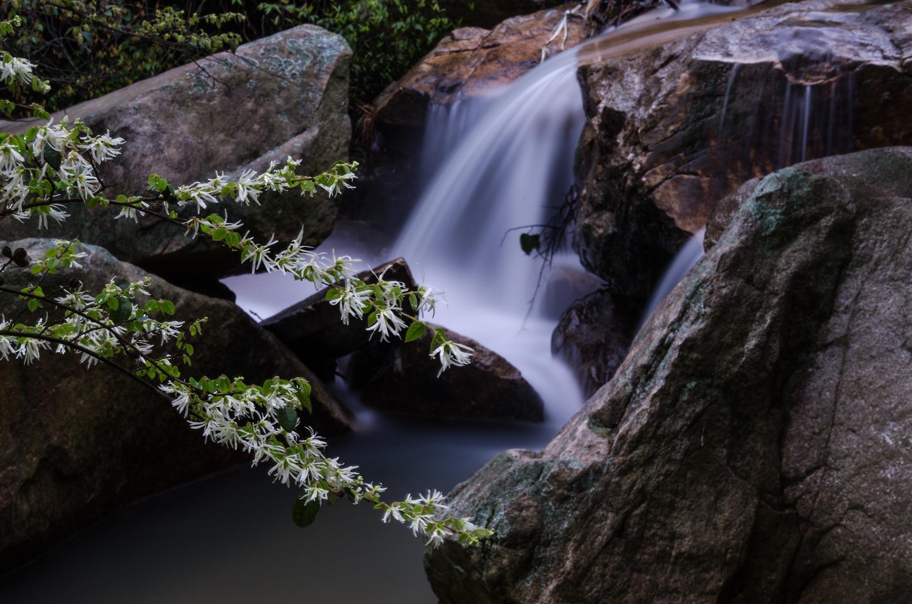 水莲洞