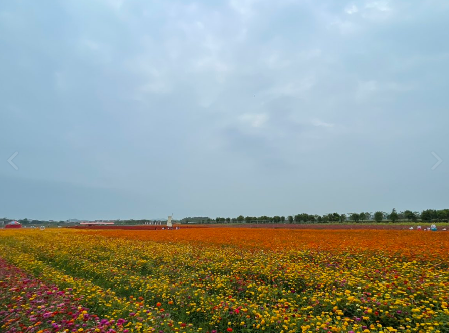 仙眷花洲花海公园