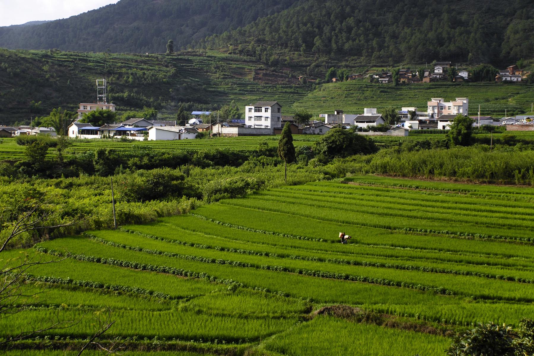 尤溪站联合梯田