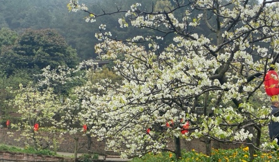 梨花溪风景区