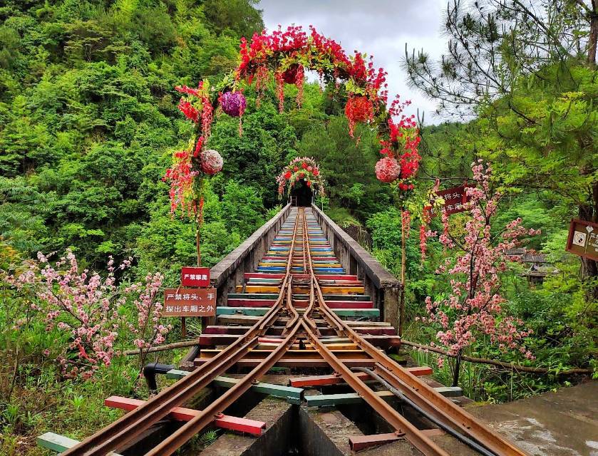 花天下煎态旅游区