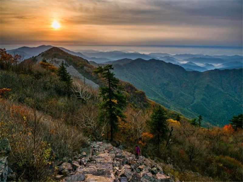 花脖子景区