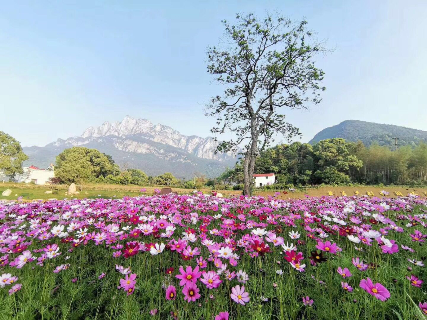 泸州鄱湖湾景区