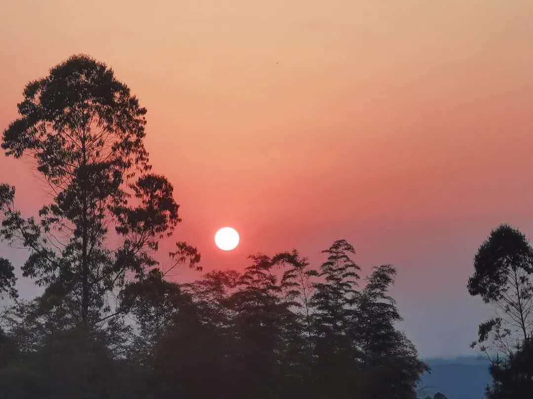 天府茶灵谷山地武动公园