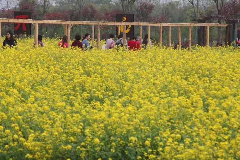 桃花缘生态休闲农场