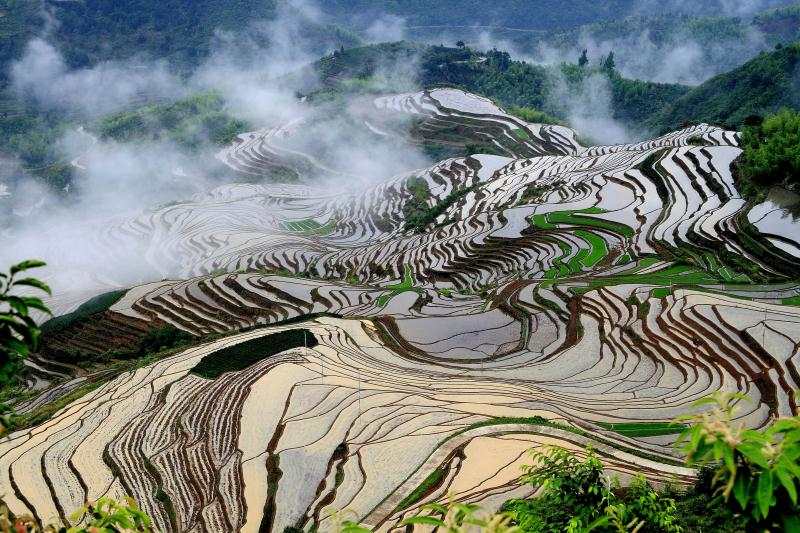 云上挮田景区