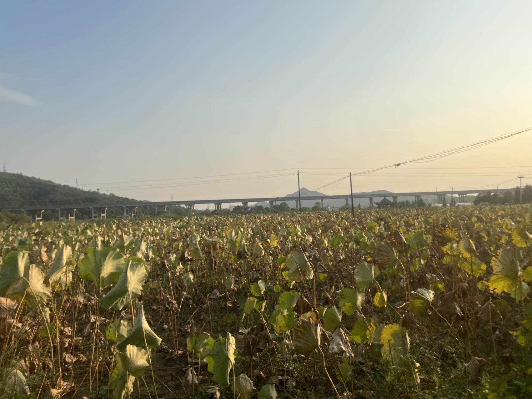 东山岛冰雪乐园