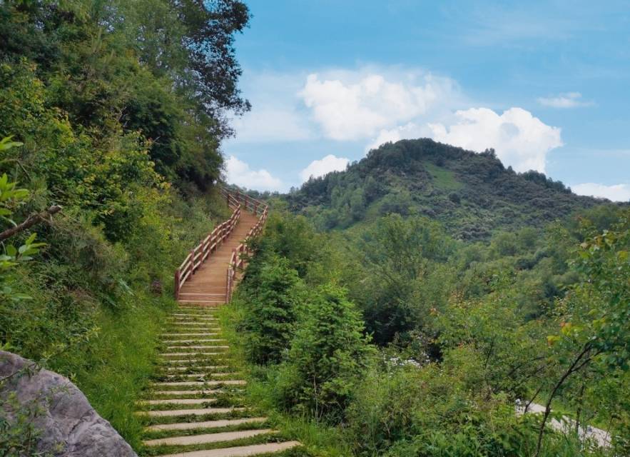 天井峡经区