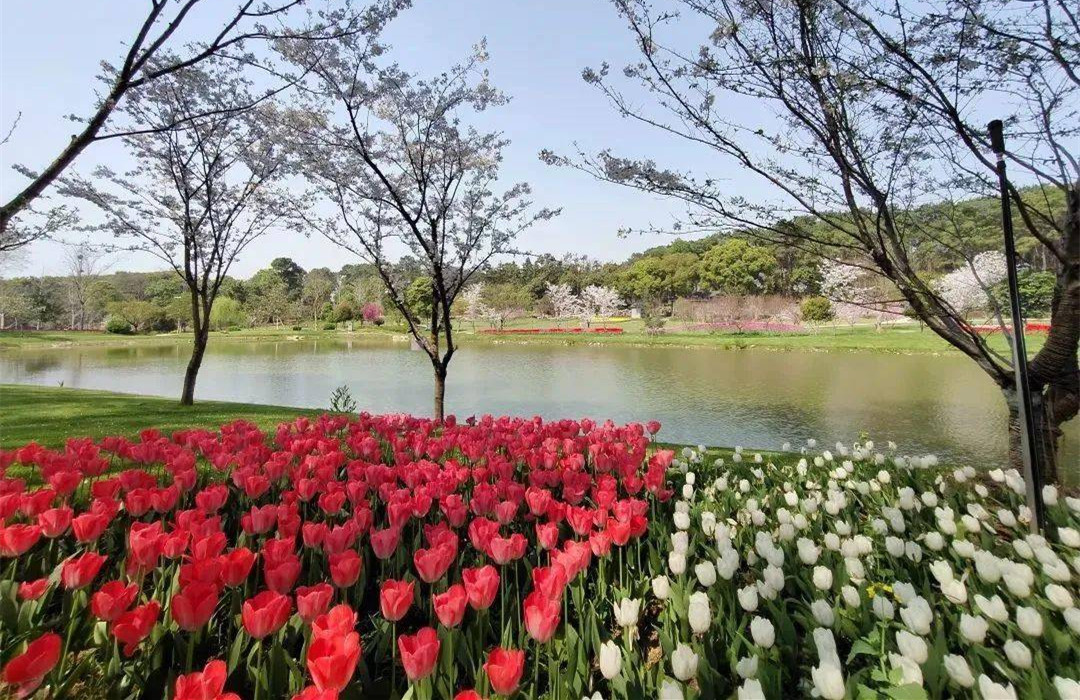 荆州菩提泉景区