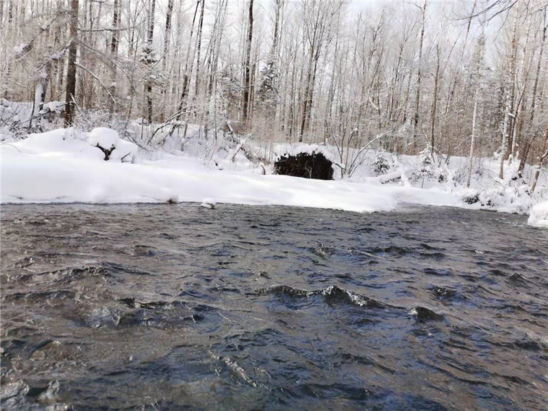 长白山原始生态第一小漂