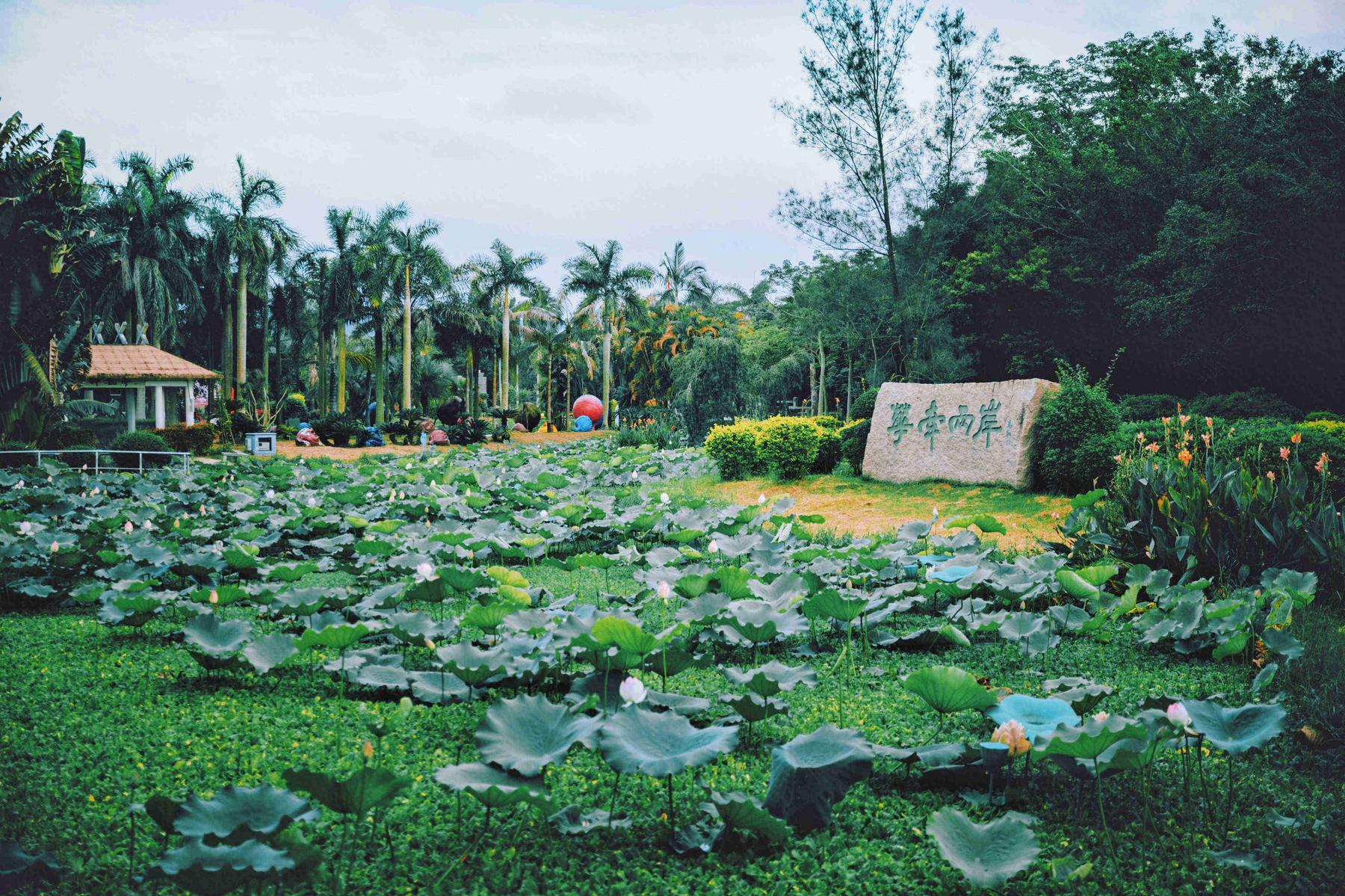 东南花岗酒店