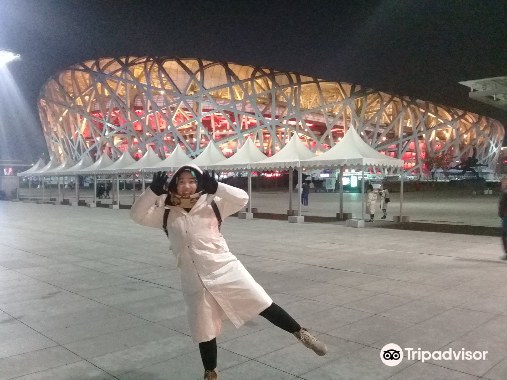 鸟巢欢乐冰雪季