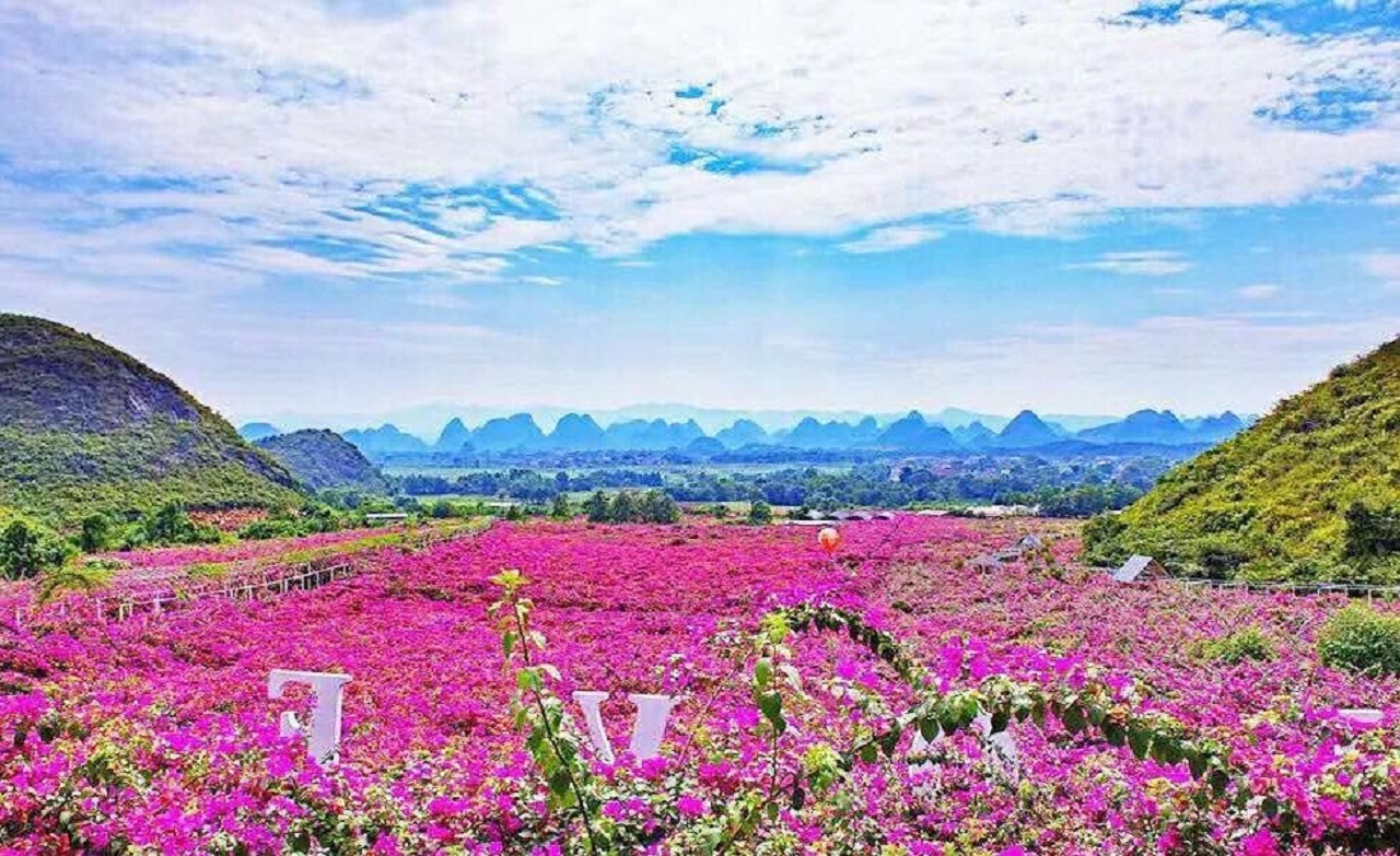 桂林花海景区