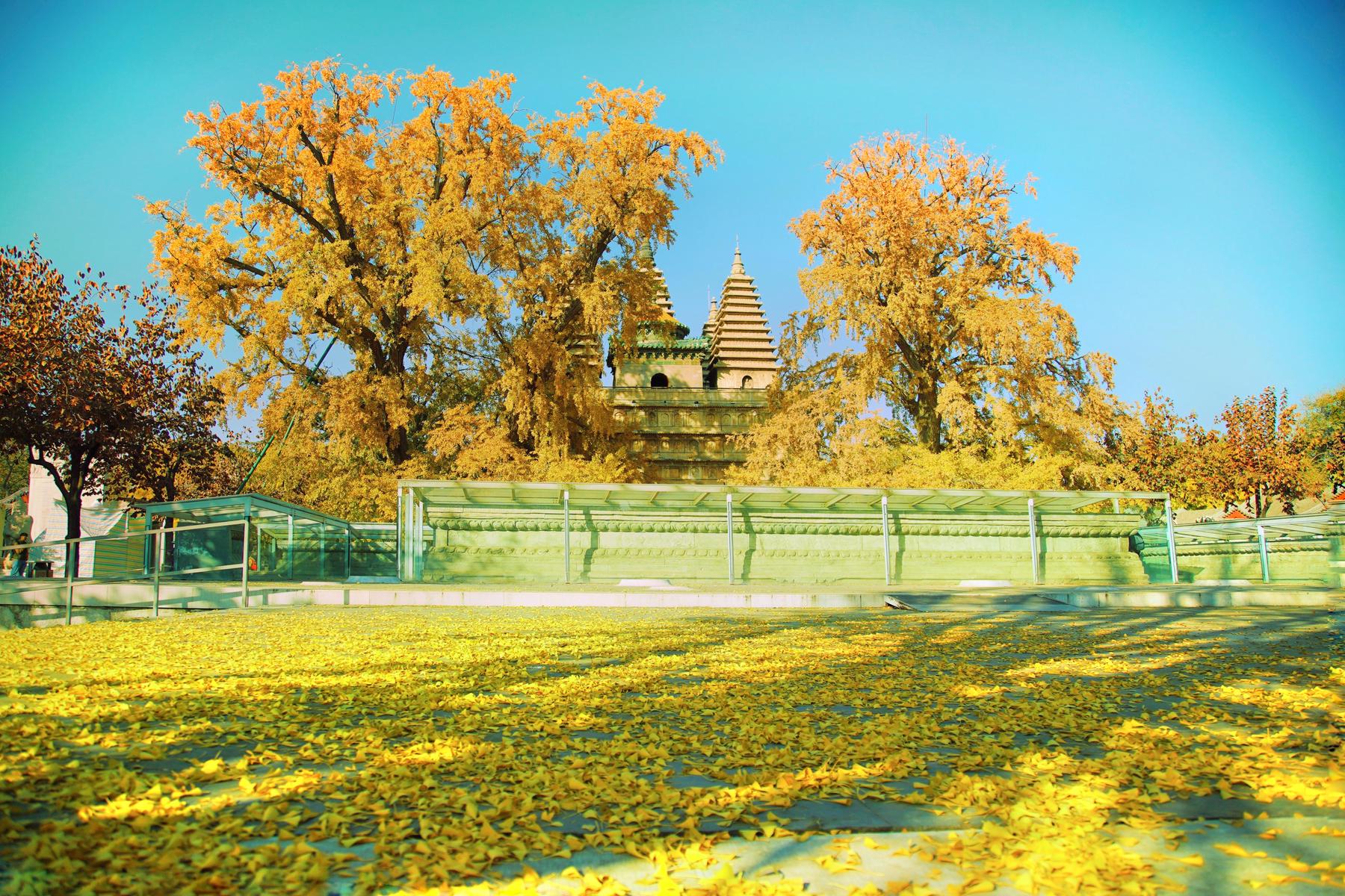 北京石刻艺术博物院