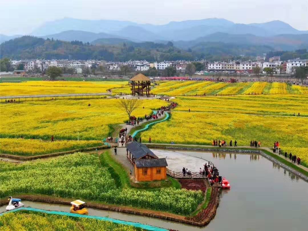 冷杉蓝田花海影视基地