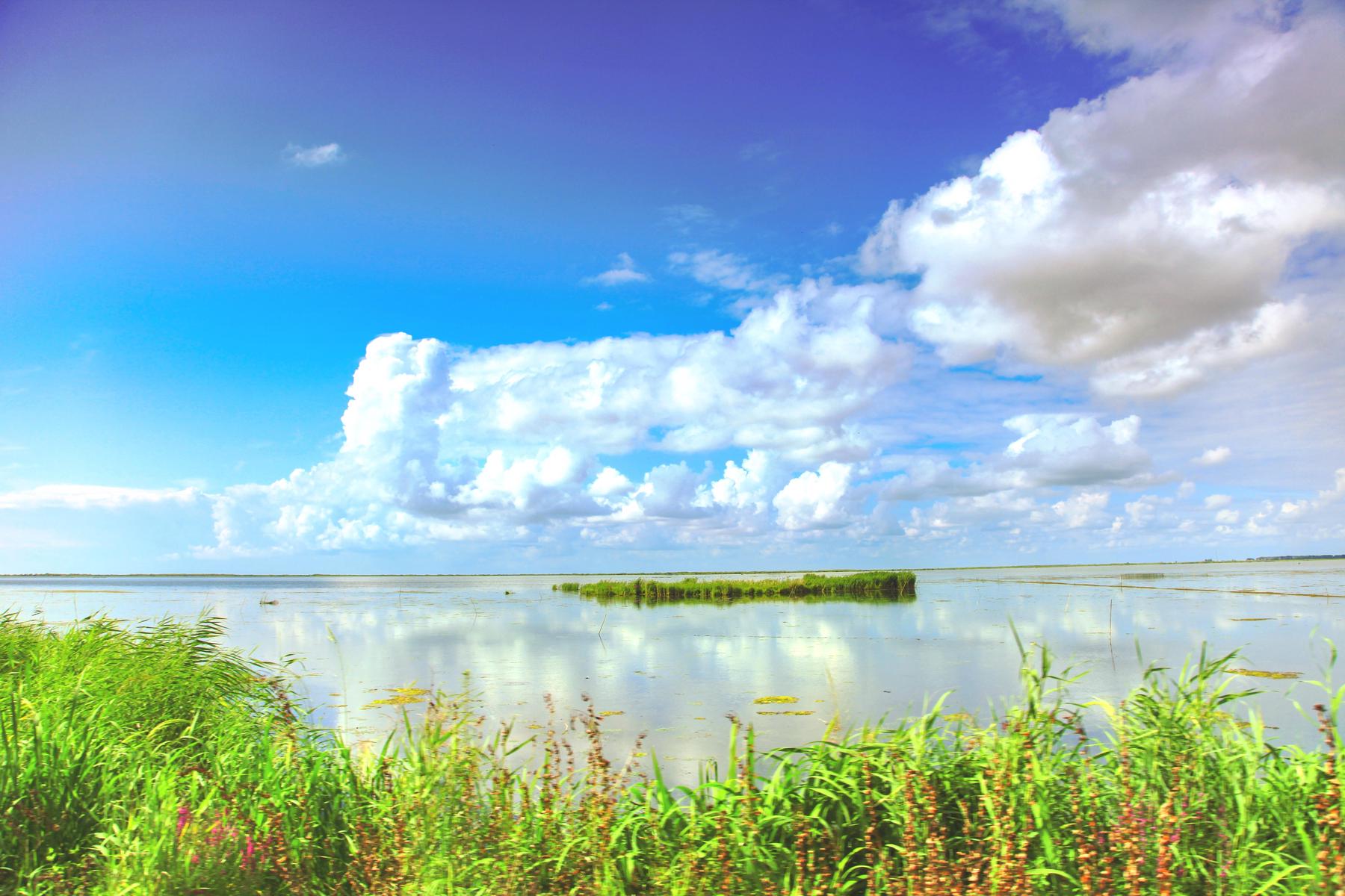 兴凯河湿地公园