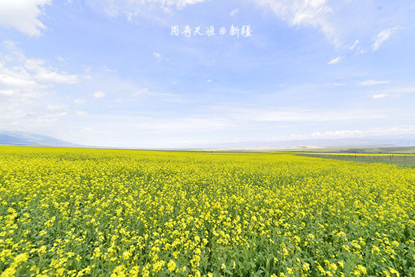 白石头风景区