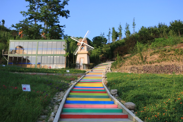 黄岩区旅蓝美田园