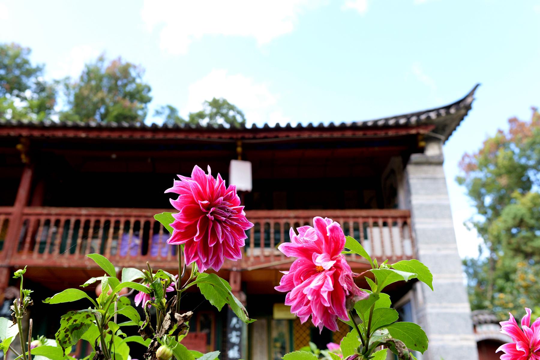 感通寺