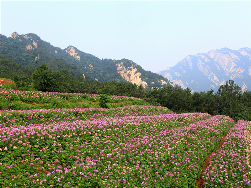 石门景区