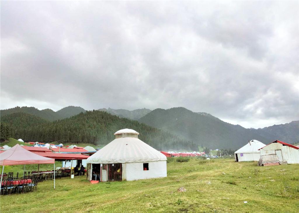 男山牧场