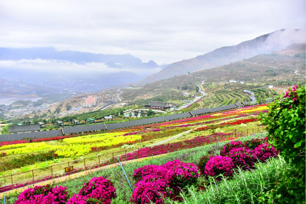 花舞人间小区