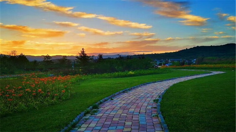 泾源香水花海景区