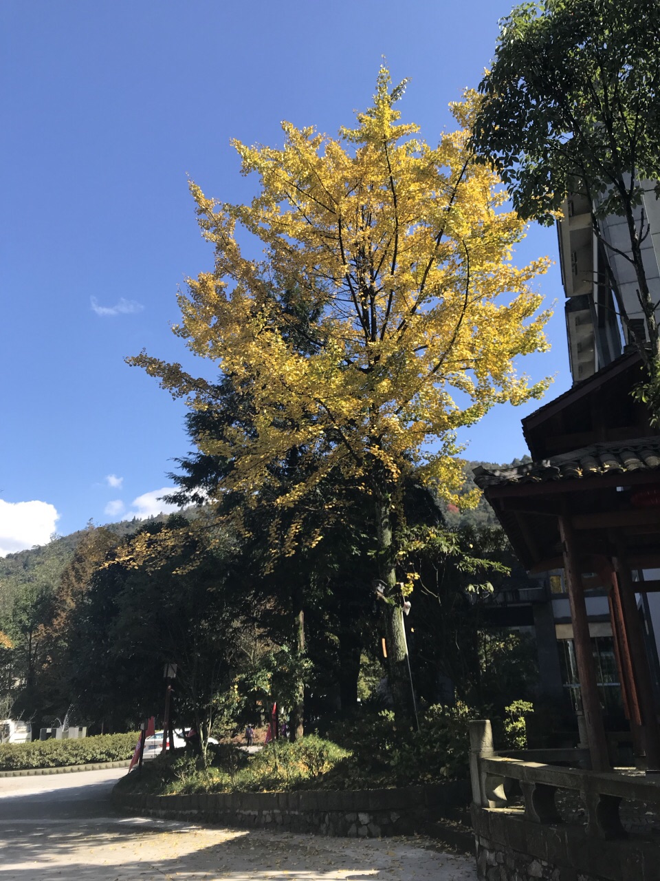 峨眉山山华生酒店