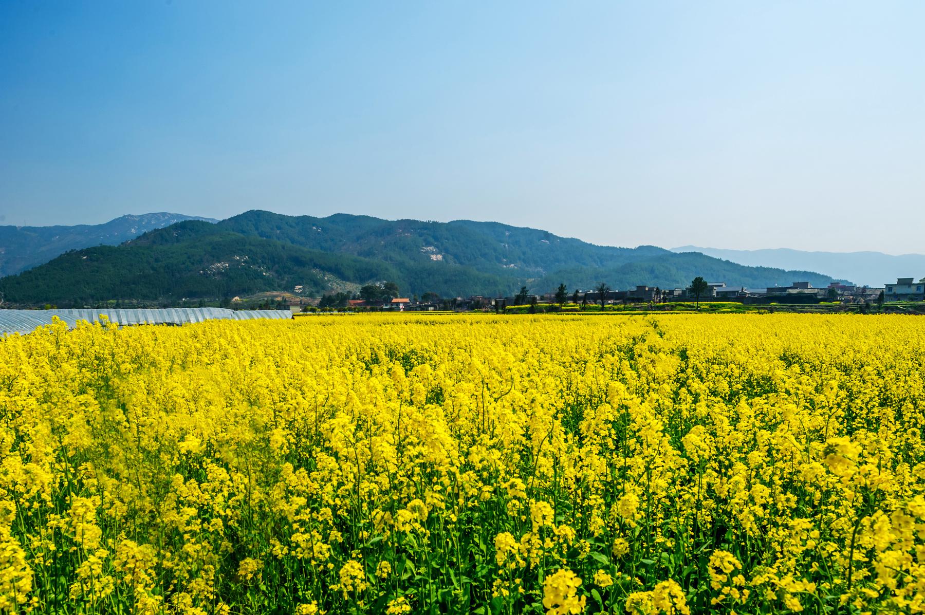 安义古村群景区