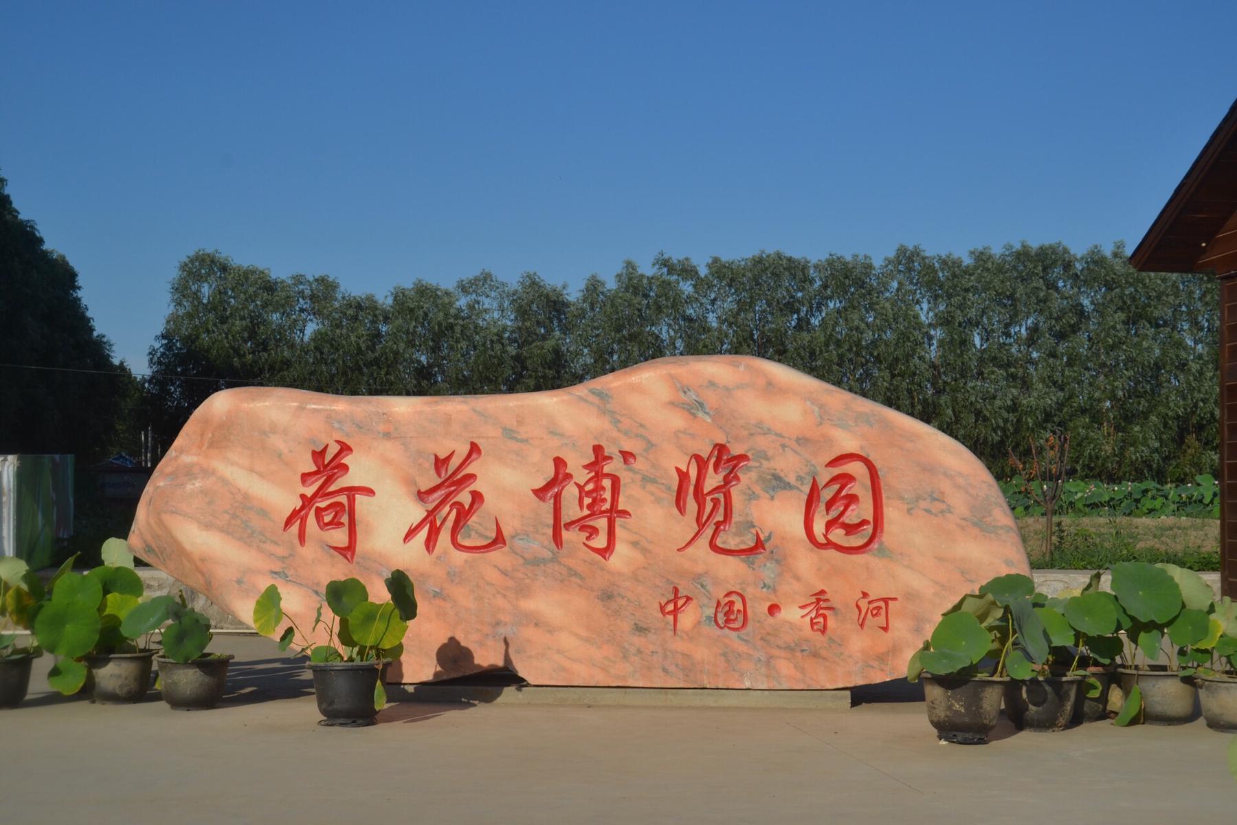 香河荷花博览园