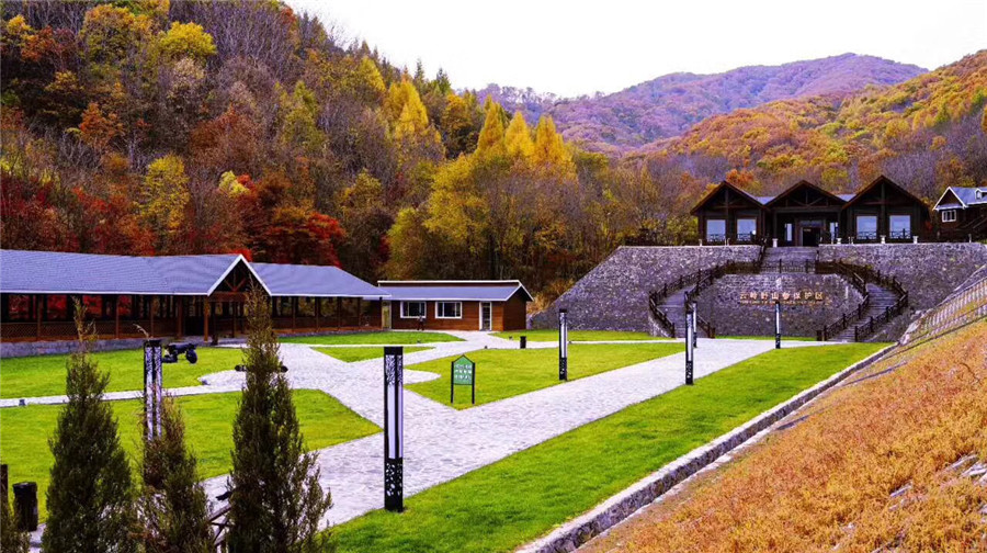 竣盛世野山参风景区