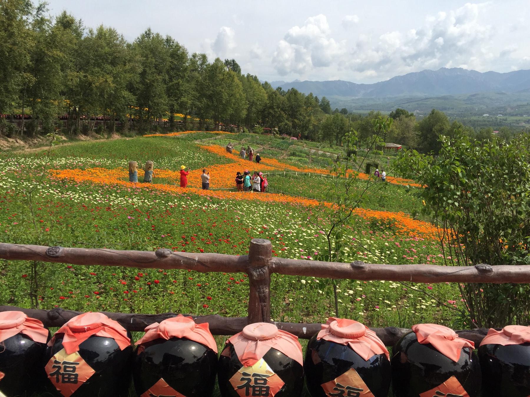 互助油嘴湾生泰文化景区