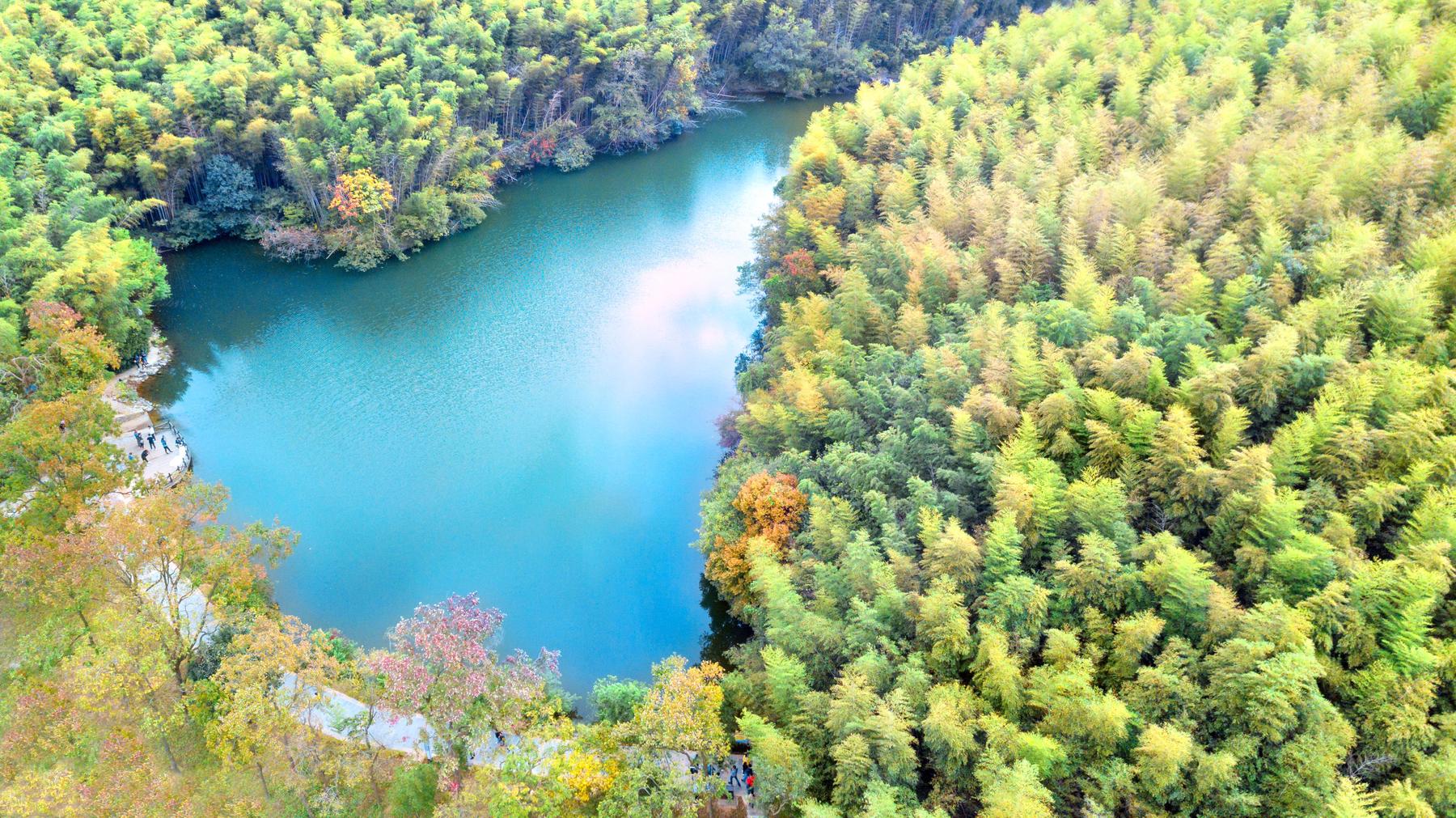 石塘竹海景区