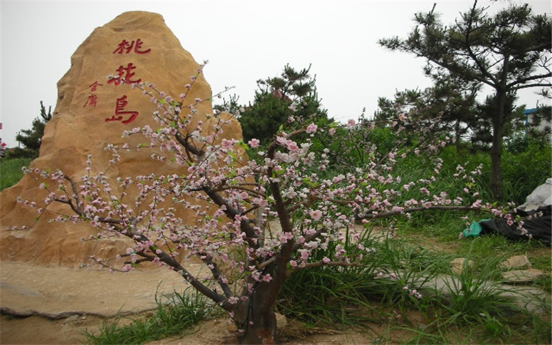 桃花岛风景区