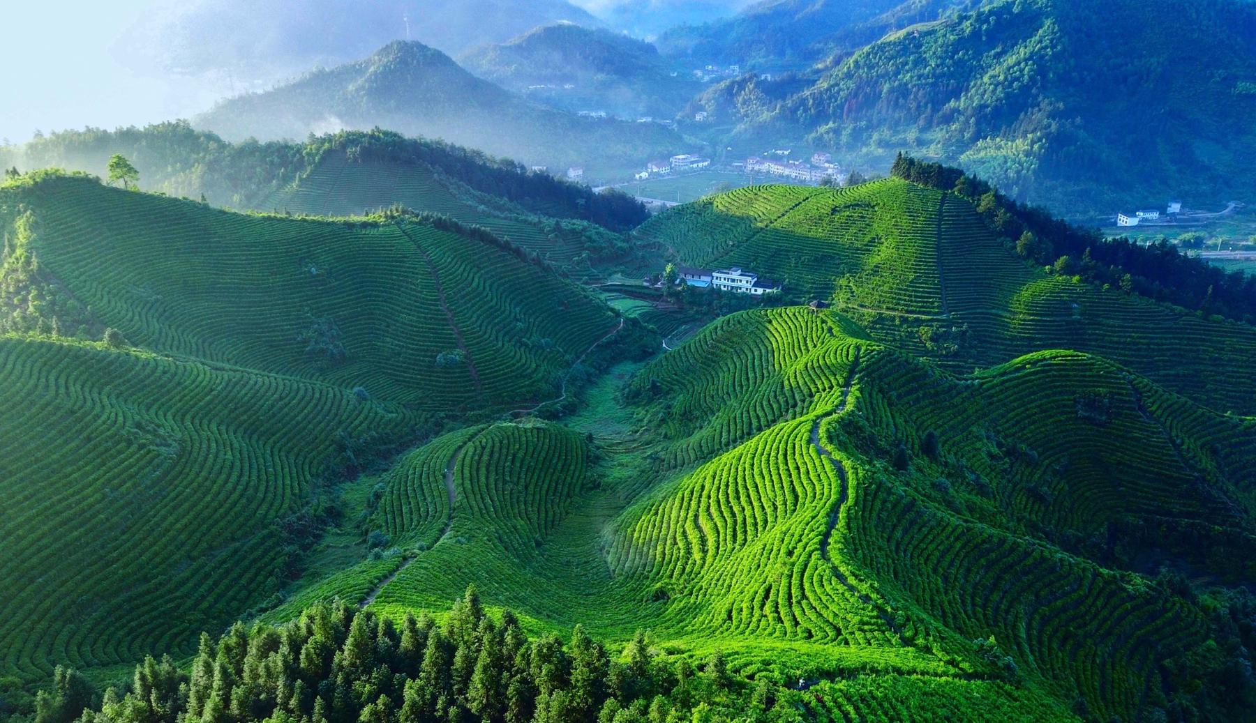 白氵仙风景区