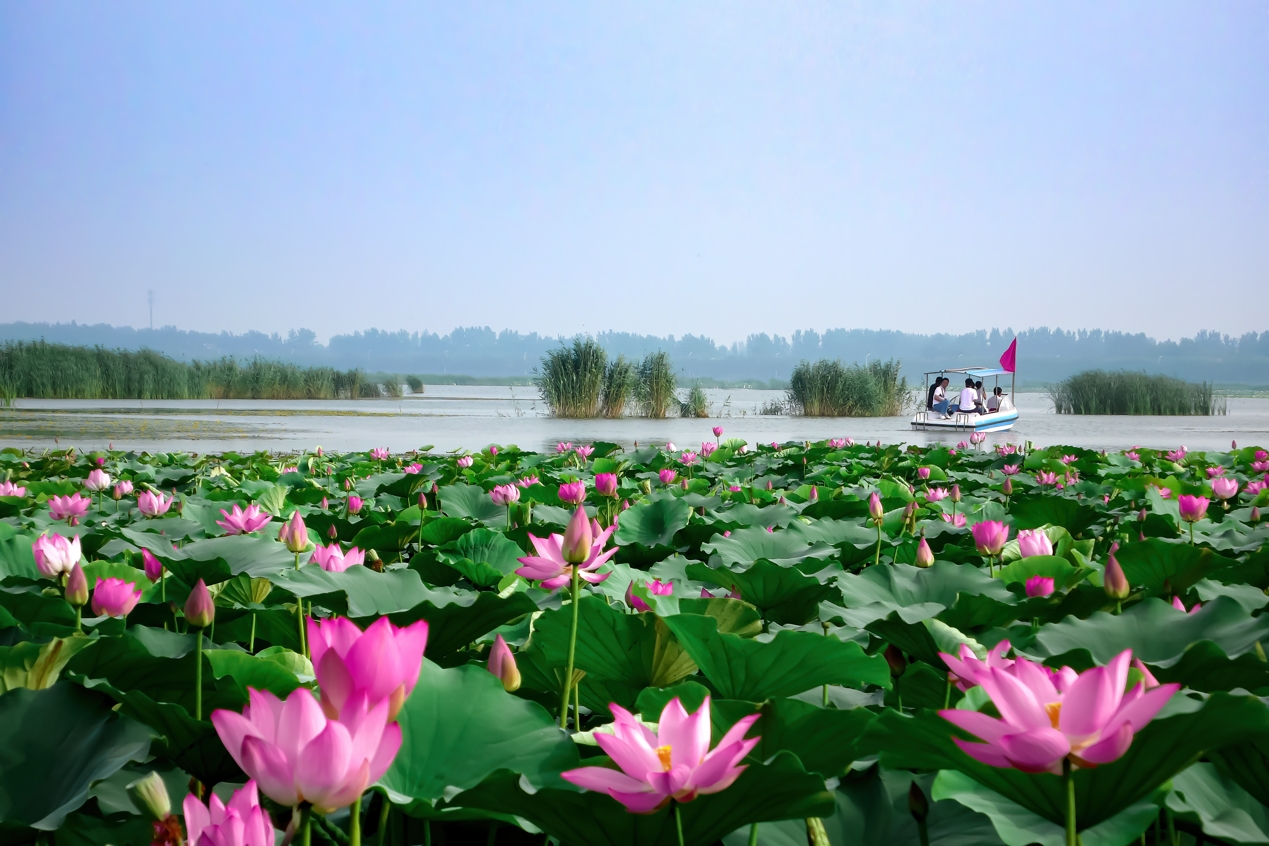 淮阳太昊陵景区