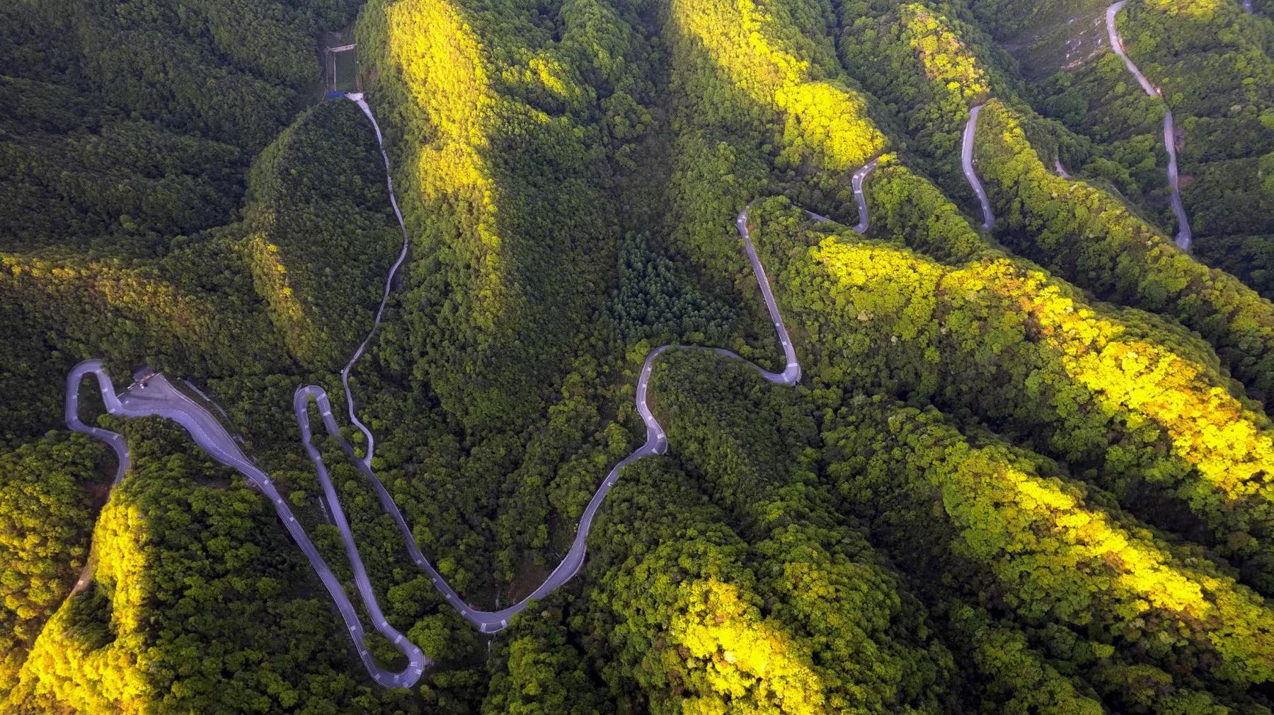 米仓山国家森林公园