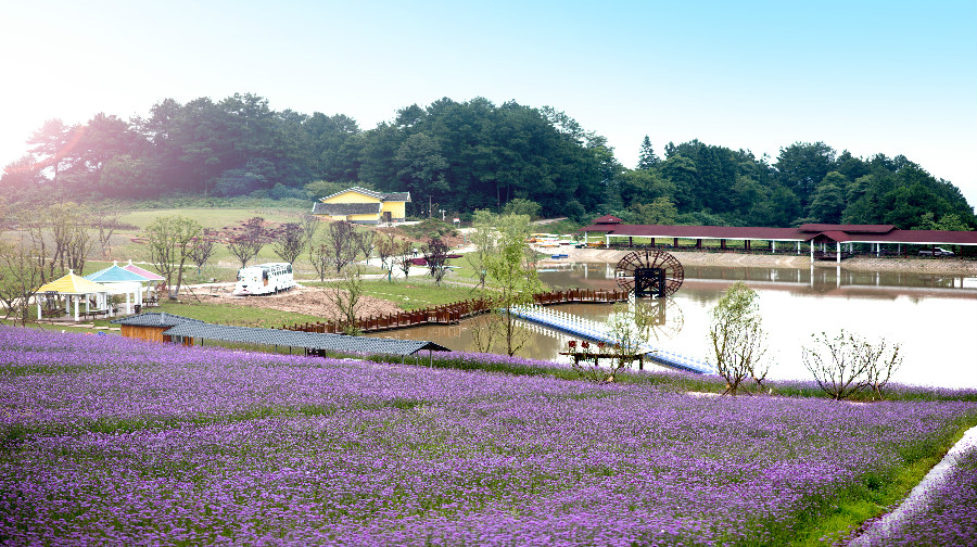 横山花仙谷