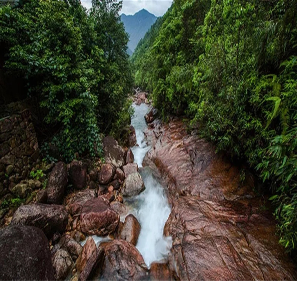 武夷山龙井山风景区