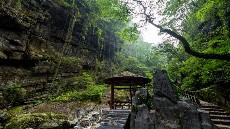 壶瓶山生态旅游静区