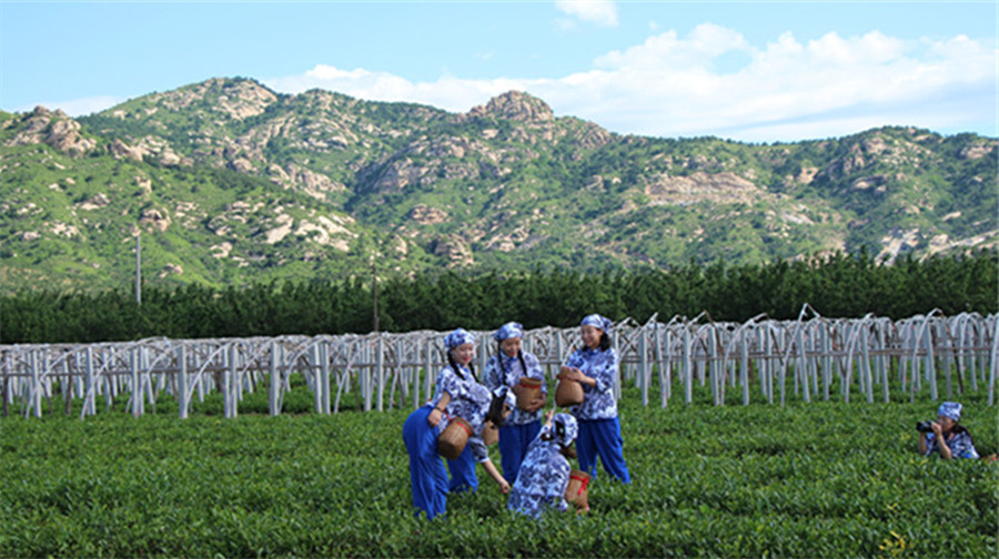 闾山茶场